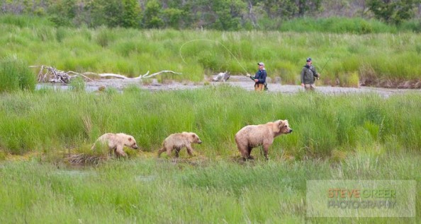 DynPicWaterMark_ImageViewer