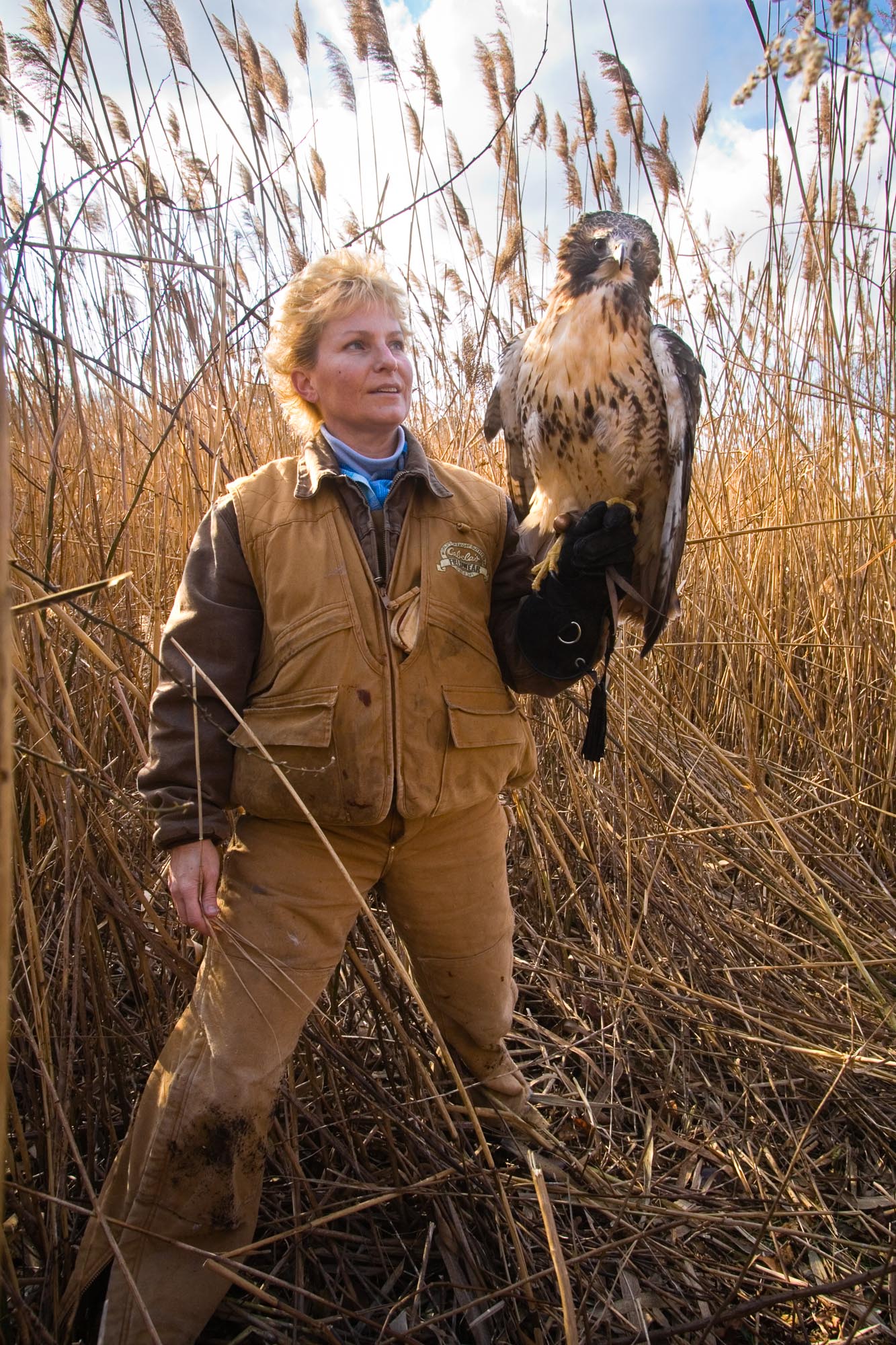 Mature Woman enjoying her outdoor hobby as a falconer